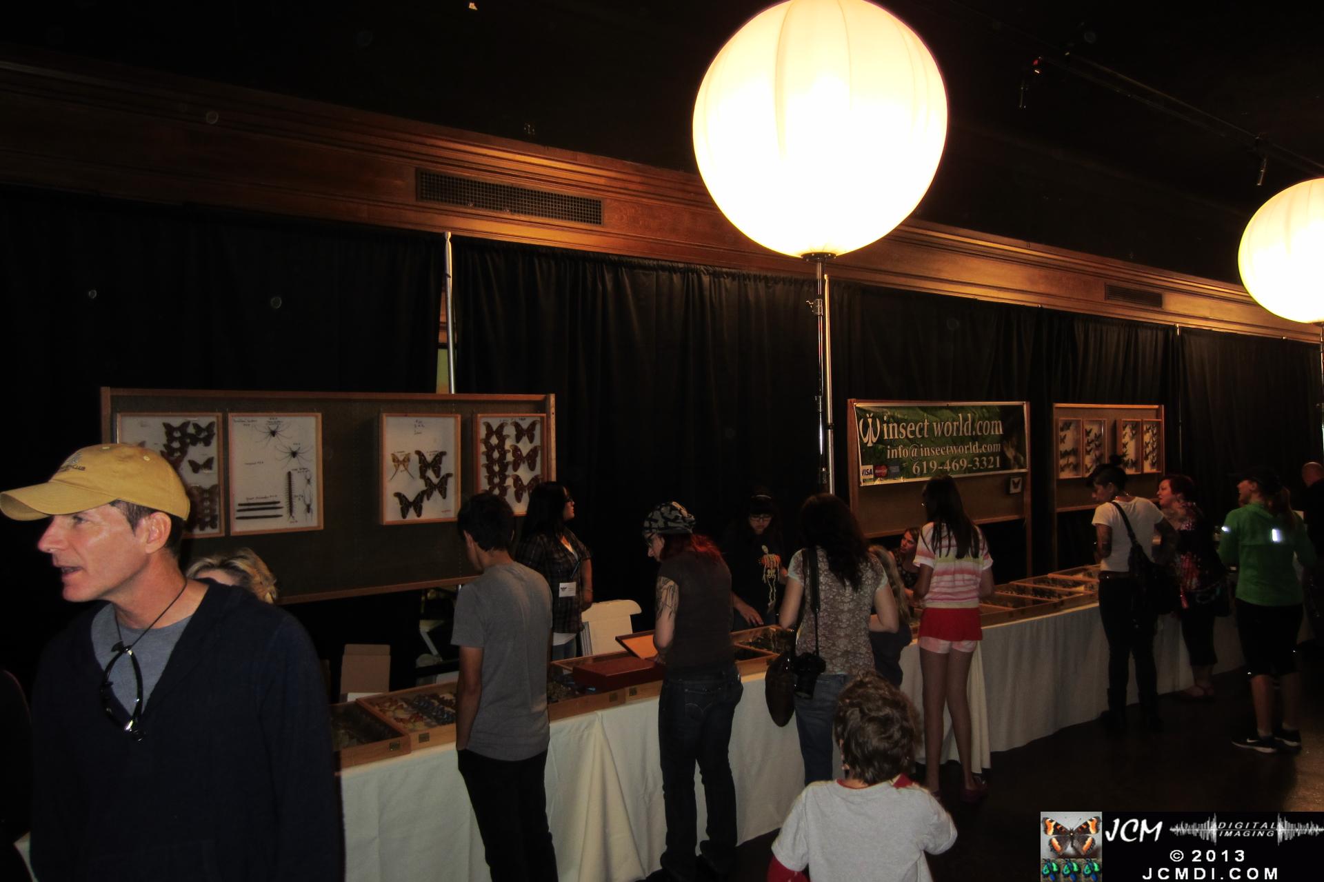LANHM Bug Fair 2013 crowds and displays